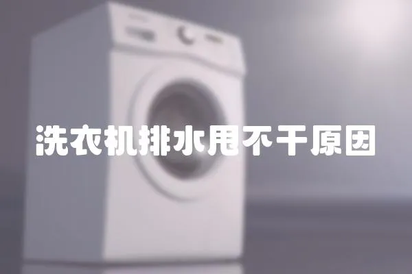洗衣機排水甩不干原因