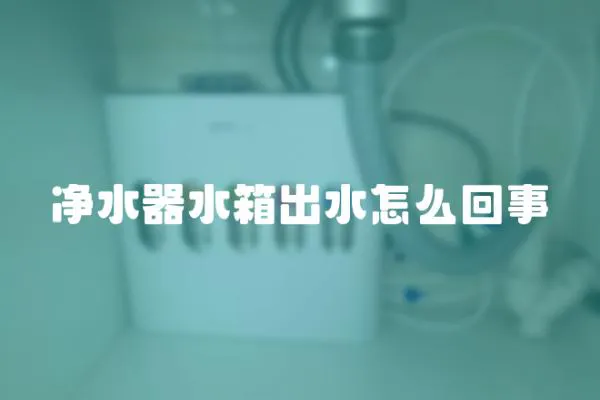 凈水器水箱出水怎么回事