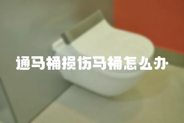 通馬桶損傷馬桶怎么辦