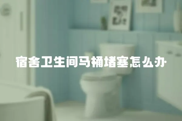 宿舍衛生間馬桶堵塞怎么辦