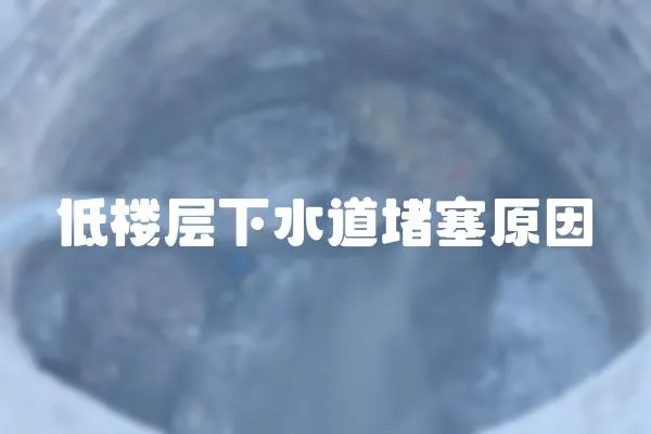 低樓層下水道堵塞原因