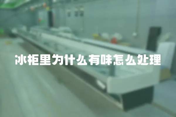 冰柜里為什么有味怎么處理