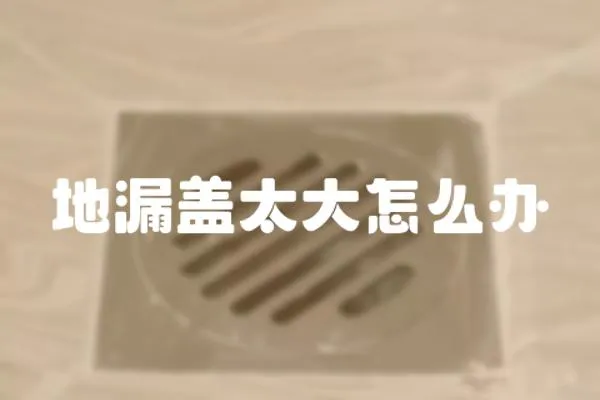地漏蓋太大怎么辦