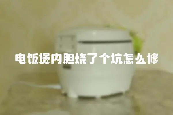 電飯煲內膽燒了個坑怎么修