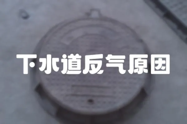 下水道反氣原因