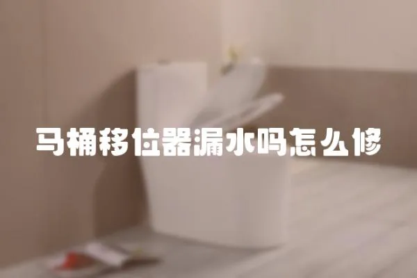 馬桶移位器漏水嗎怎么修