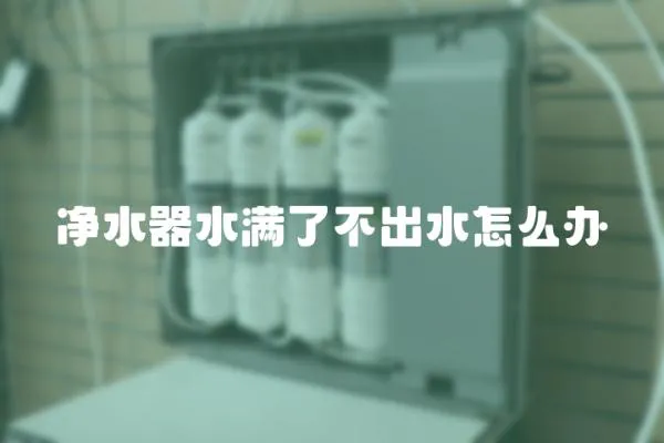 凈水器水滿了不出水怎么辦