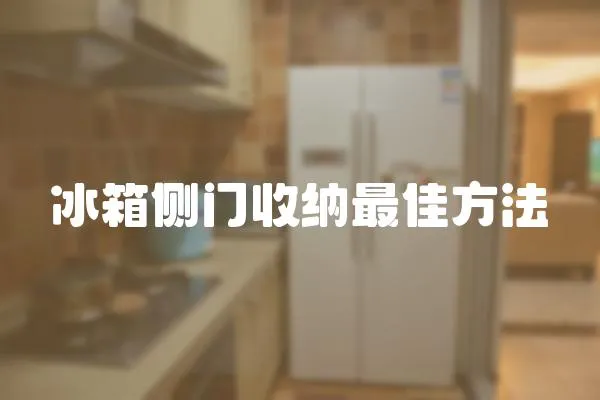 冰箱側門收納最佳方法