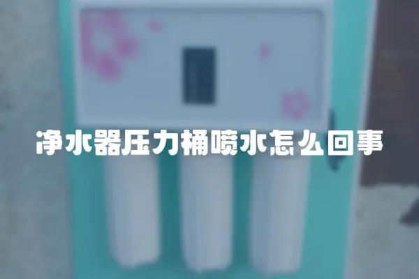 凈水器壓力桶噴水怎么回事