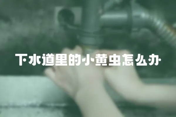 下水道里的小黃蟲怎么辦