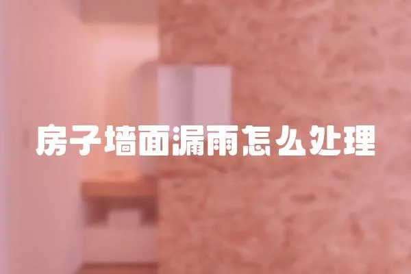 房子墻面漏雨怎么處理