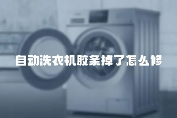 自動洗衣機膠條掉了怎么修