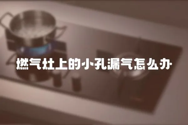 燃?xì)庠钌系男】茁庠趺崔k