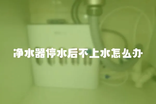 凈水器停水后不上水怎么辦