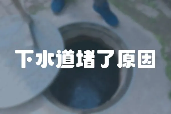 下水道堵了原因