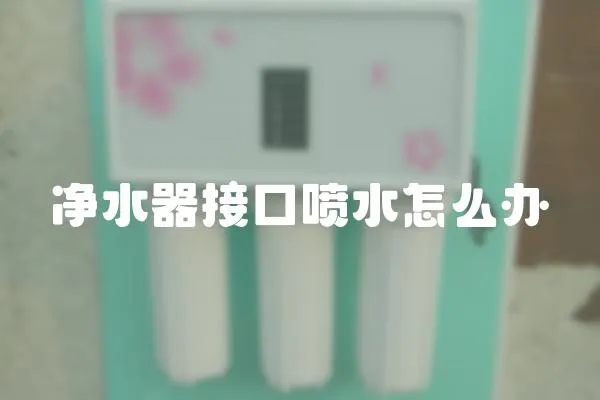 凈水器接口噴水怎么辦