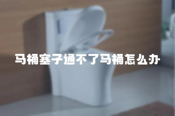 馬桶塞子通不了馬桶怎么辦