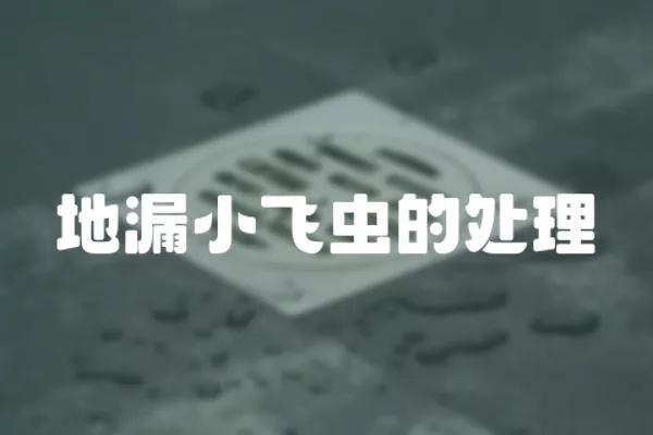 地漏小飛蟲的處理