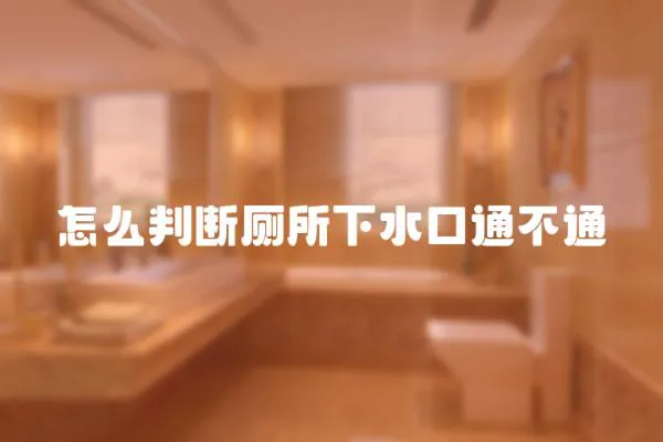 怎么判斷廁所下水口通不通