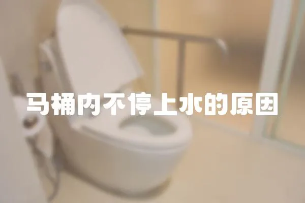 馬桶內不停上水的原因