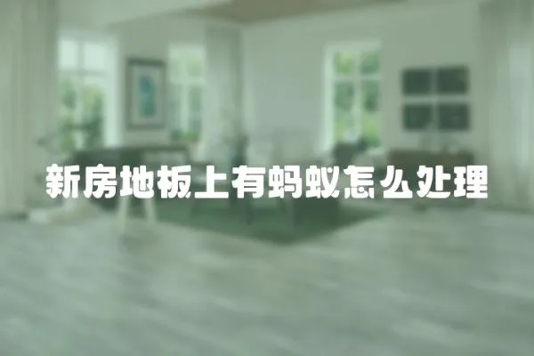 新房地板上有螞蟻怎么處理