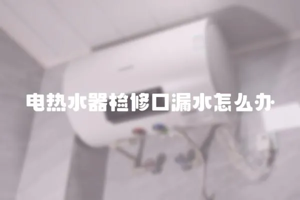 電熱水器檢修口漏水怎么辦