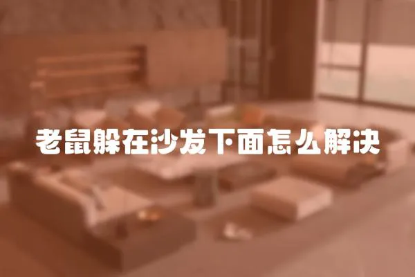老鼠躲在沙發下面怎么解決