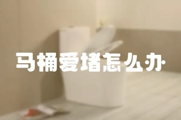 馬桶愛堵怎么辦