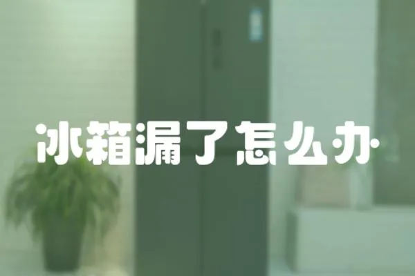 冰箱漏了怎么辦
