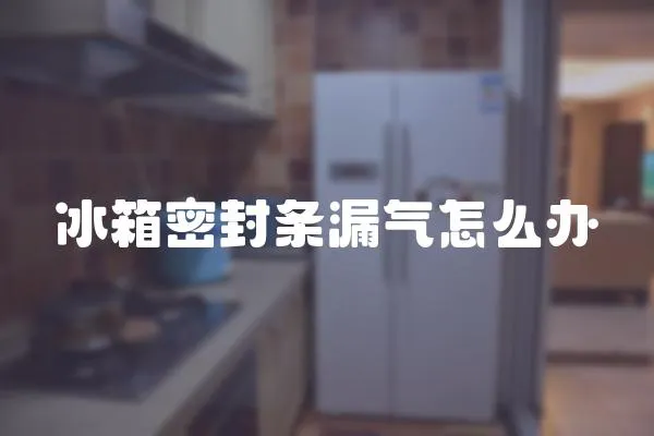 冰箱密封條漏氣怎么辦