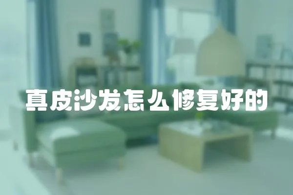 真皮沙發怎么修復好的