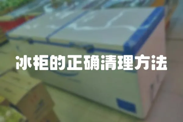 冰柜的正確清理方法