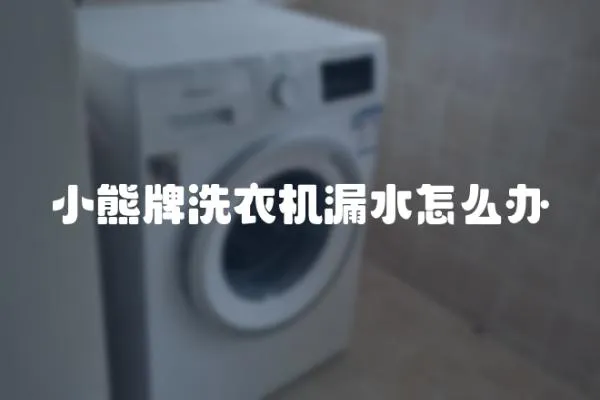 小熊牌洗衣機漏水怎么辦