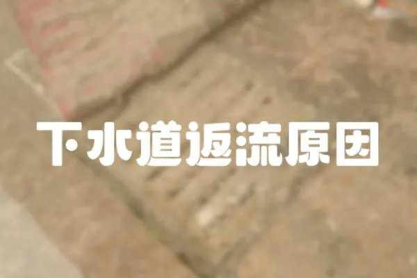 下水道返流原因