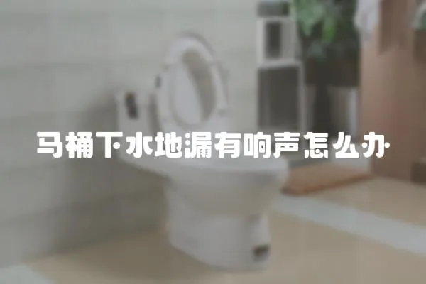 馬桶下水地漏有響聲怎么辦