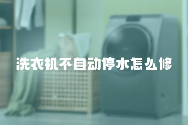 洗衣機(jī)不自動(dòng)停水怎么修