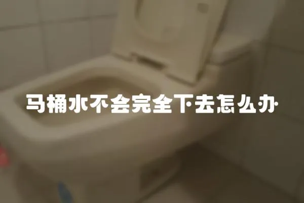 馬桶水不會完全下去怎么辦