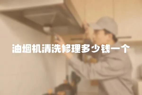油煙機清洗修理多少錢一個