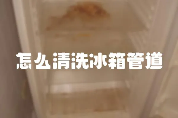 怎么清洗冰箱管道