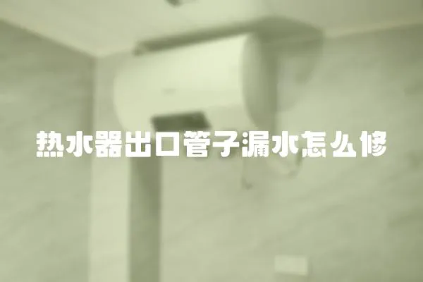 熱水器出口管子漏水怎么修