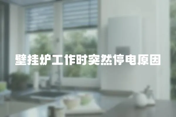 壁掛爐工作時突然停電原因