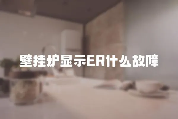 壁掛爐顯示ER什么故障