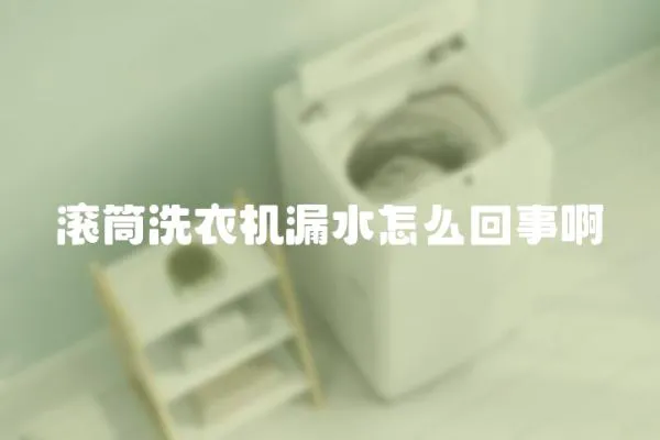 滾筒洗衣機漏水怎么回事啊