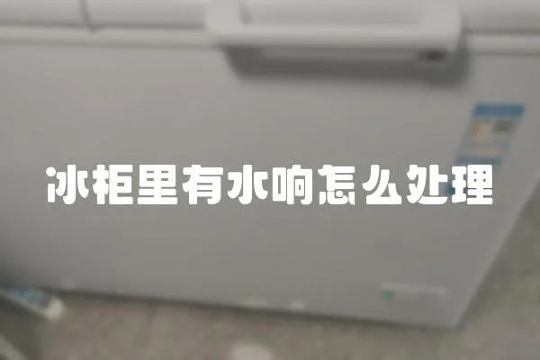 冰柜里有水響怎么處理