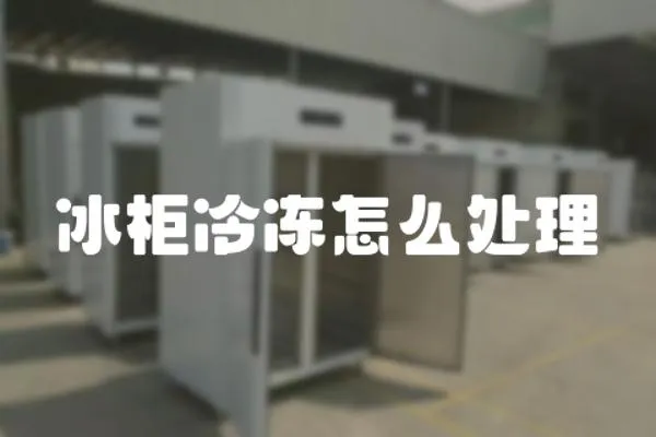 冰柜冷凍怎么處理