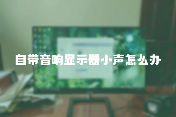 自带音响显示器小声怎么办