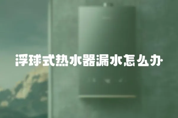 浮球式熱水器漏水怎么辦