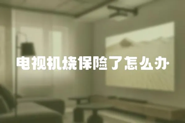 電視機燒保險了怎么辦