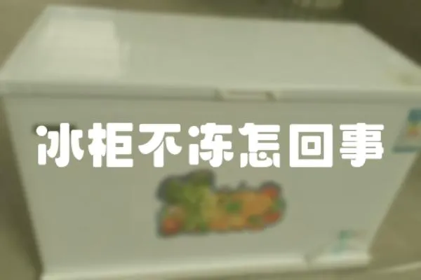 冰柜不凍怎回事