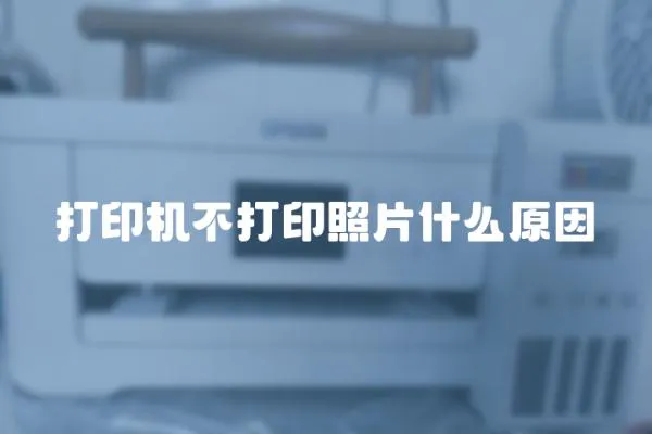 打印機不打印照片什么原因